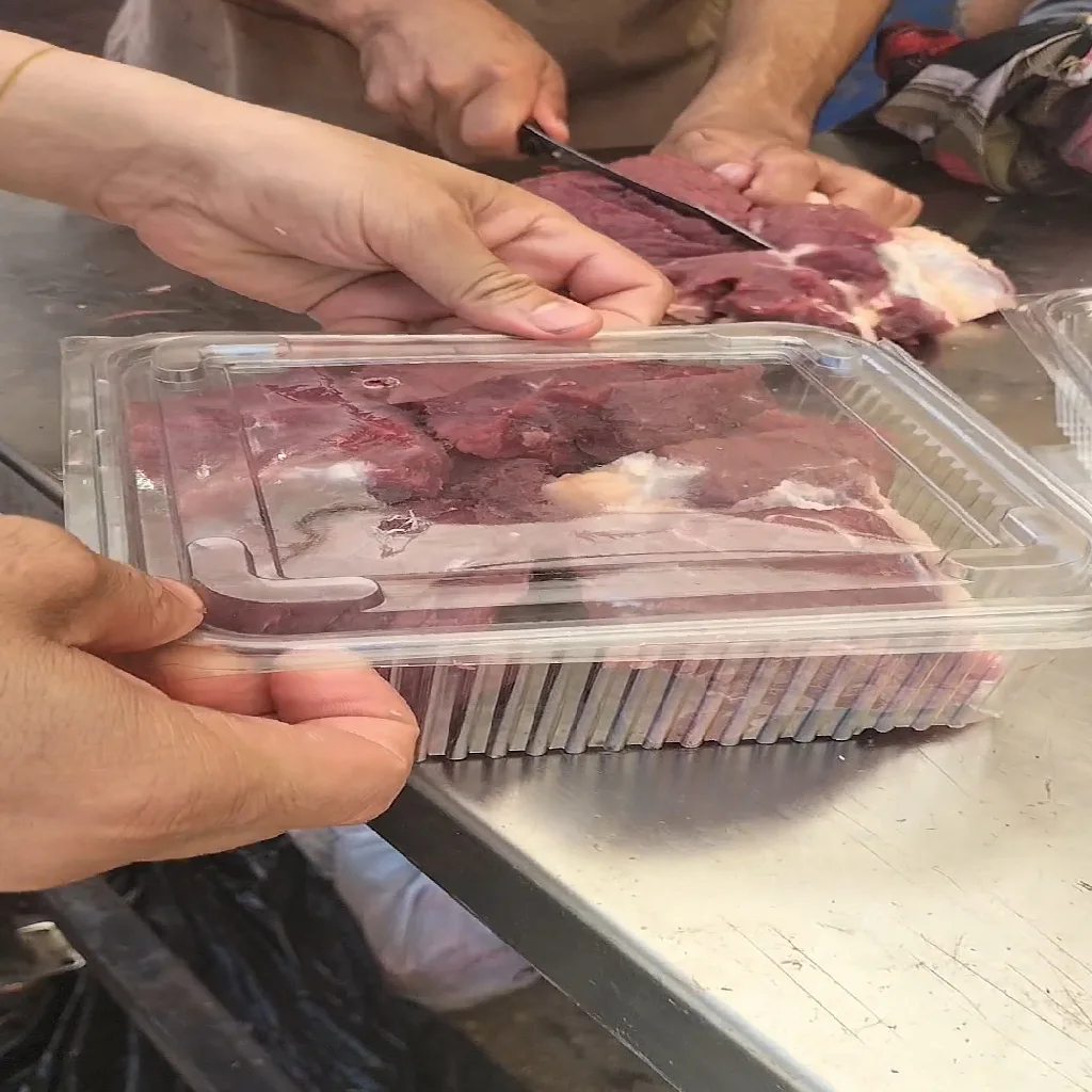 مشروع جديد (19)