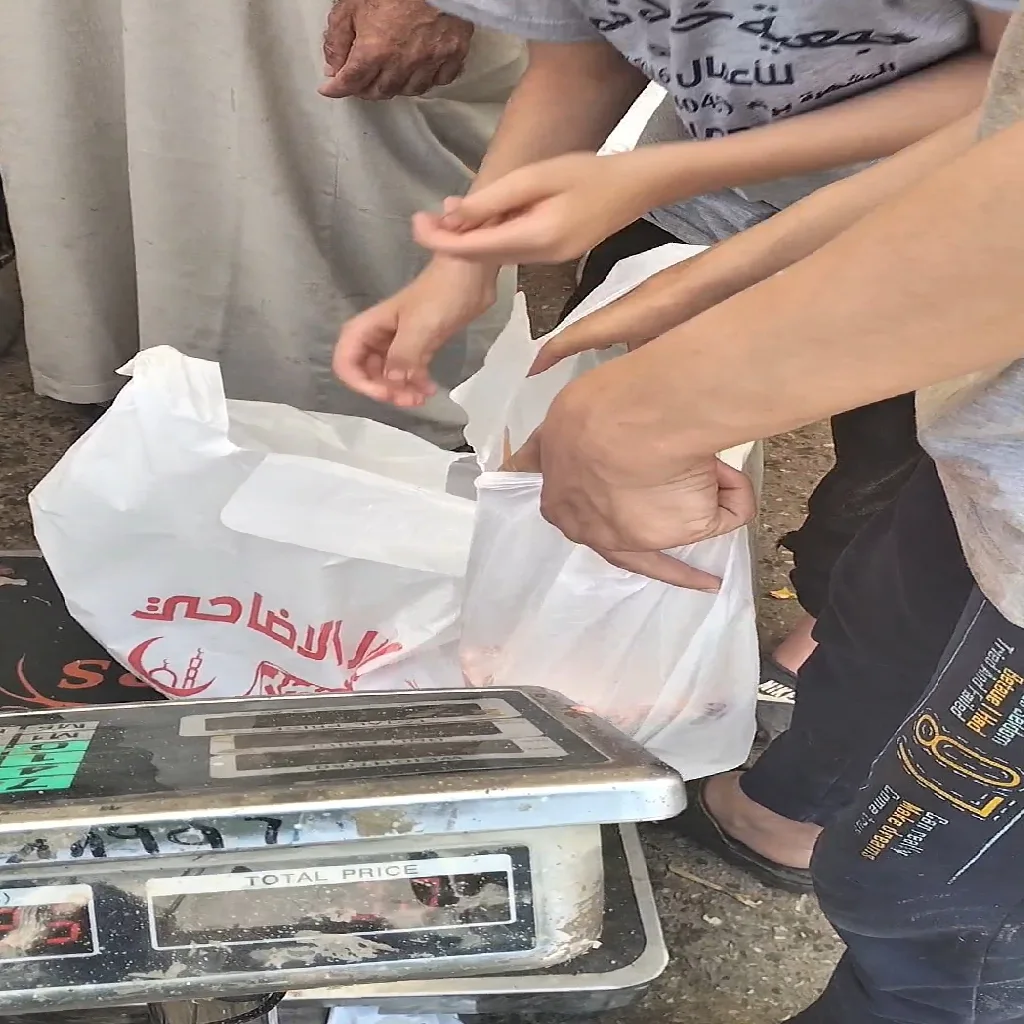 مشروع جديد (22)