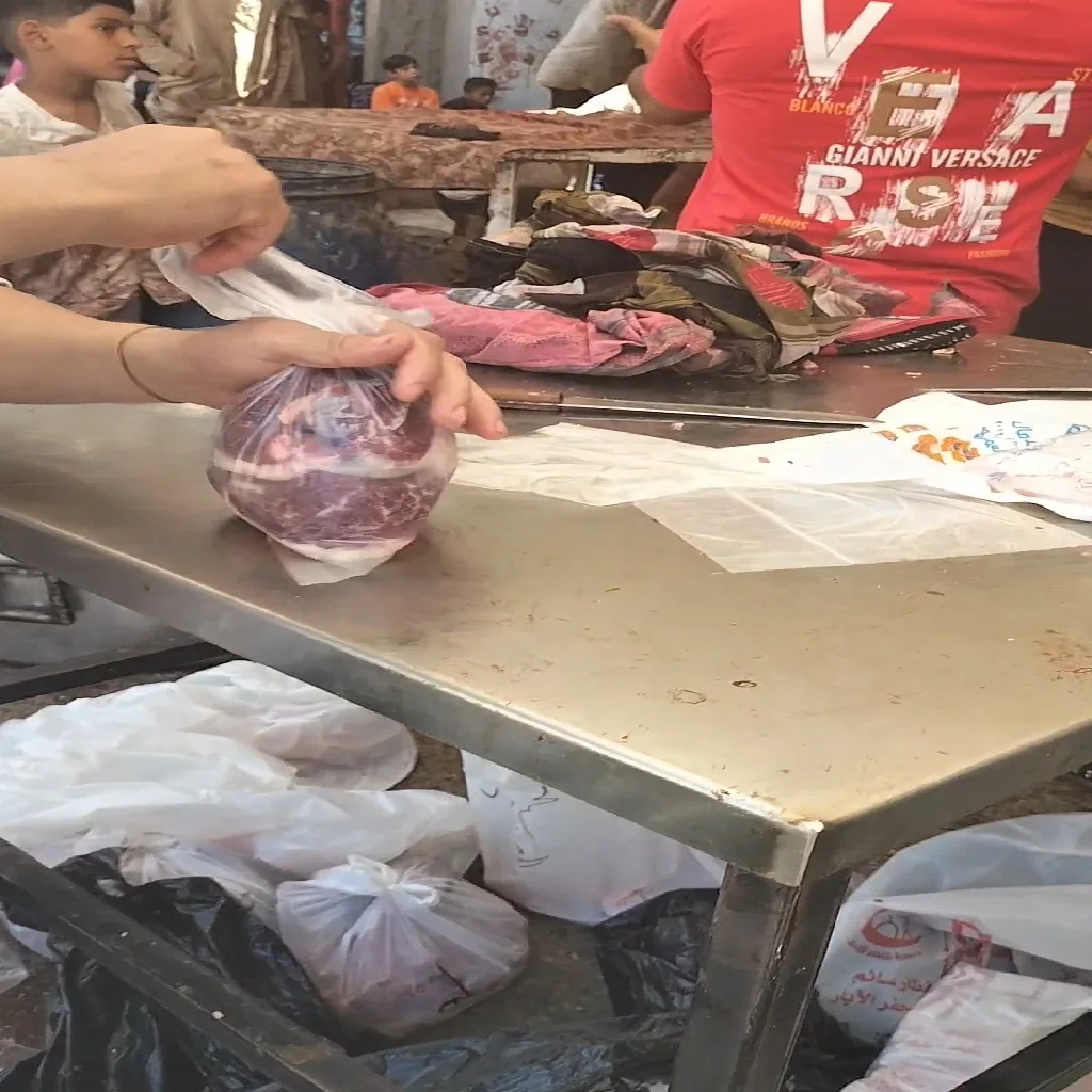 مشروع جديد (26)