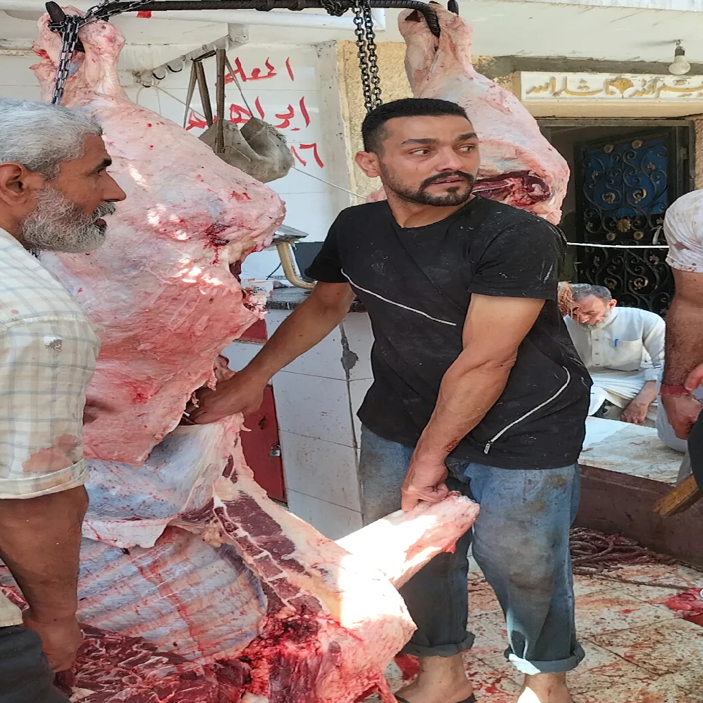 مشروع جديد (35)