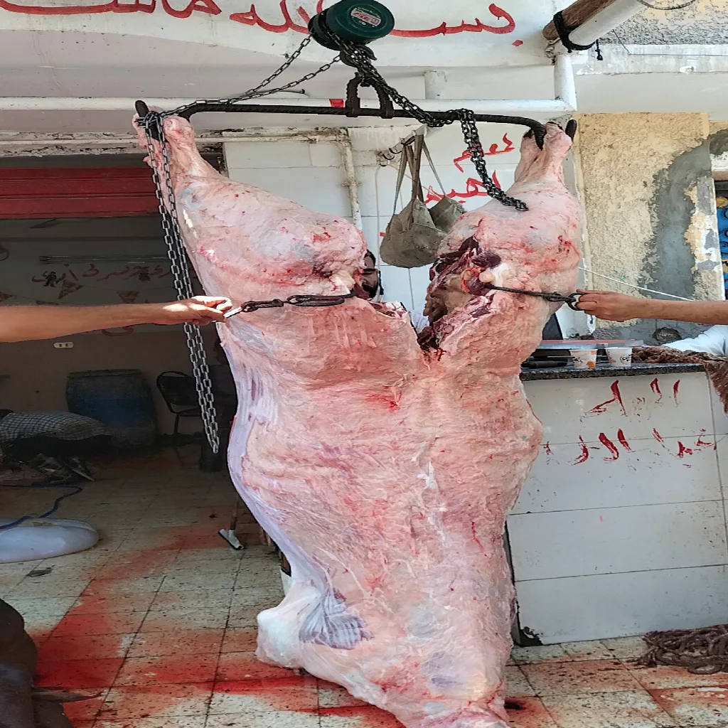 مشروع جديد (36)