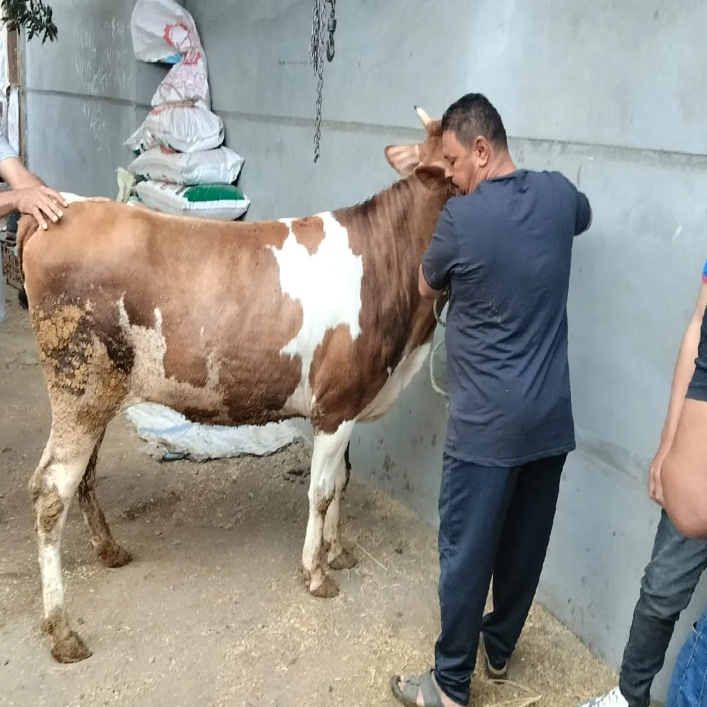 مشروع جديد (37)